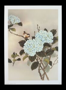 Hydrangea-and-Sparrows-Print