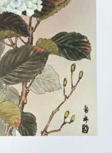 Hydrangea-and-Sparrows-Print-second-image