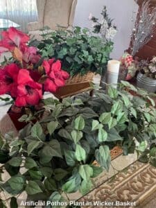 Artificial-Pothos-Plant-in-Wicker-Basket