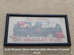 Dull-Women-Have-Immaculate-Houses-Framed-Print