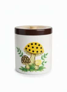 Merry-Mushroom-Canister-Set-by-Sears