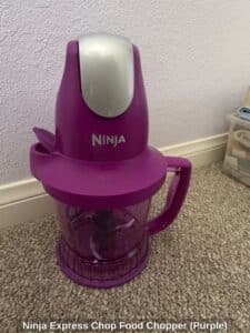 Ninja-Express-Chop-Food-Chopper-Purple