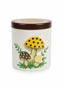 Sears-Merry-Mushroom-Canister-Set