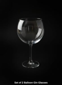 Set-of-Balloon-Gin-Glasses