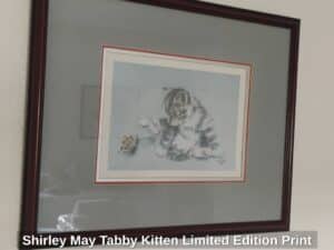Shirley-May-Tabby-Kitten-Limited-Edition-Print