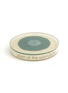 Steuben-Glass-Serendipity-Paperweight-third-image