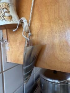 Vintage-Argentine-Cow-Horn-Decor-third-image