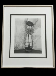 Framed-Black-and-White-Floral-Still-Life-Photography