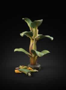 Hand-Carved-Wooden-Banana-Plant-Sculpture-second-image