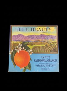 Hill-Beauty-Brand-Vintage-Orange-Crate-Label-Porterville-CA
