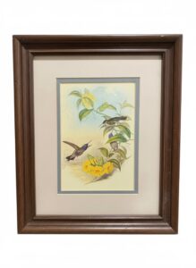 John-Gould-Blue-Throated-Cazique-Hummingbird-Lithograph-Print-MMA