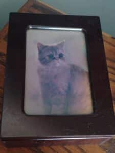 Derick-Bown-Cat-Music-Box-1