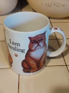 I-Am-Smiling-Grumpy-Cat-Mug-1