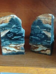Polished-Petrified-Wood-Bookends-1