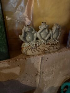 IMG_4467