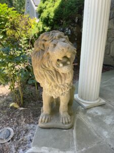 IMG_9389