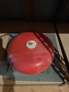 IMG_0517