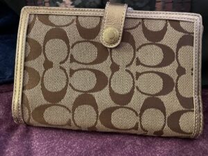 IMG_1550