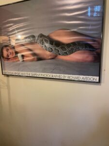 IMG_7232