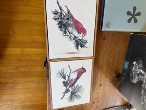IMG_0663