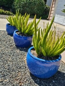 Rancho Bernardo Estate Sale