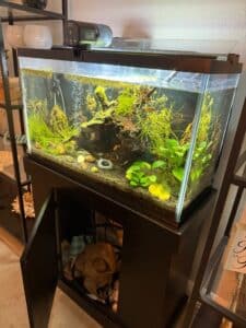 Beautiful aquarium, gorgeous art, furniture like new, big appliances @ Brandon