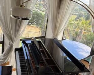 Vintage Charm & Musical Masterpieces: Novato Estate Sale