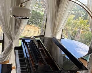 Vintage Charm & Musical Masterpieces: Novato Estate Sale  (25% OFF everything)